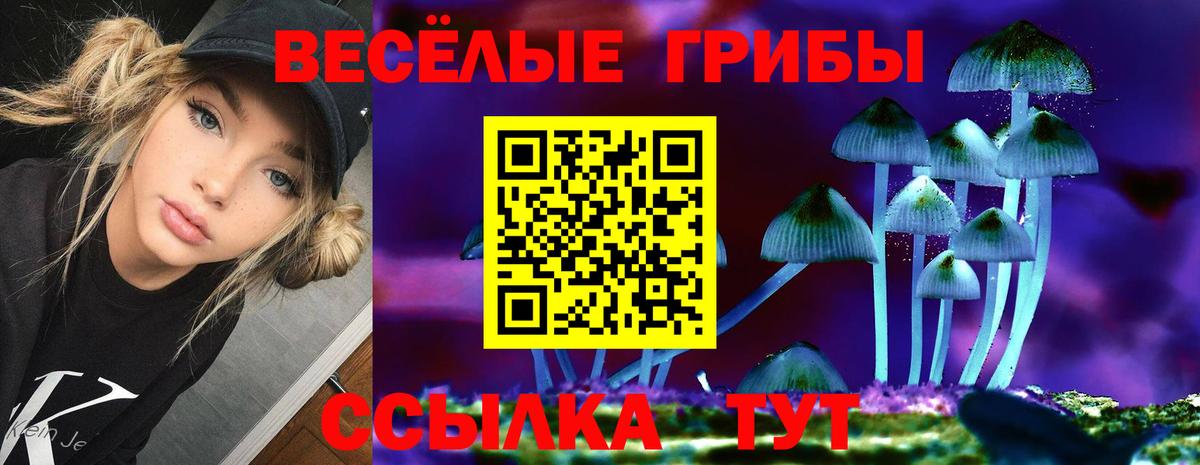 Псилоцибиновые грибы Cubensis  Галлюциногенные грибы Psilocybe  Миасс  Вход с VPN 