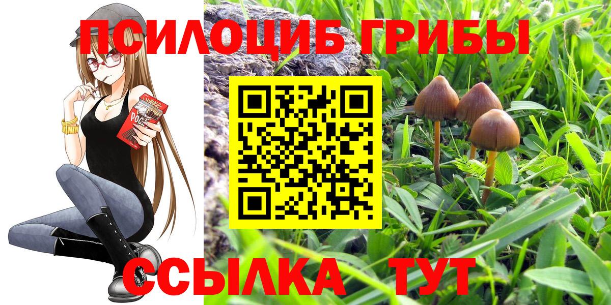Галлюциногенные грибы Magic Shrooms Миасс